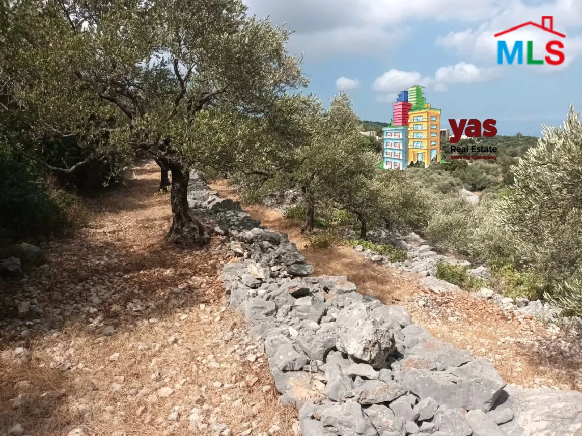 Batroun/Chibtine 959m2 | Land | Coeff 25/50 | Ideal Investment | MCH
