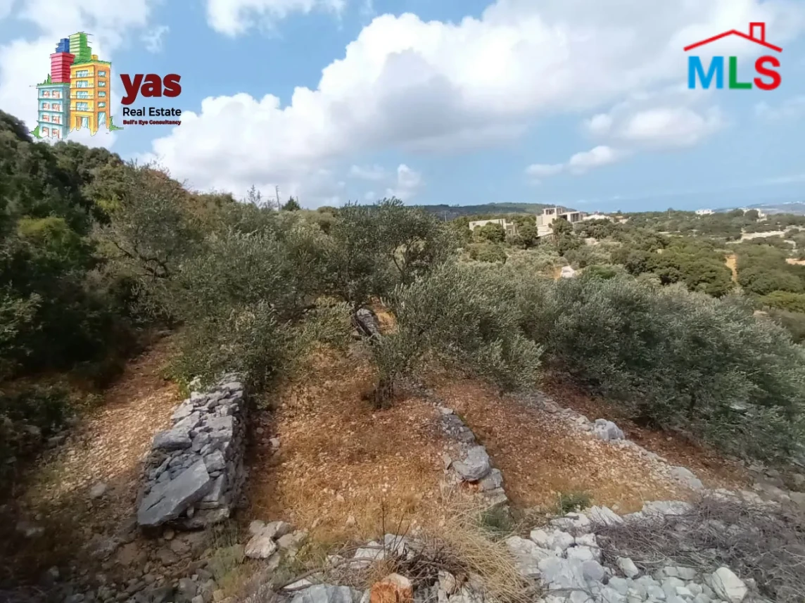 Batroun/Chibtine 959m2 | Land | Coeff 25/50 | Ideal Investment | MCH