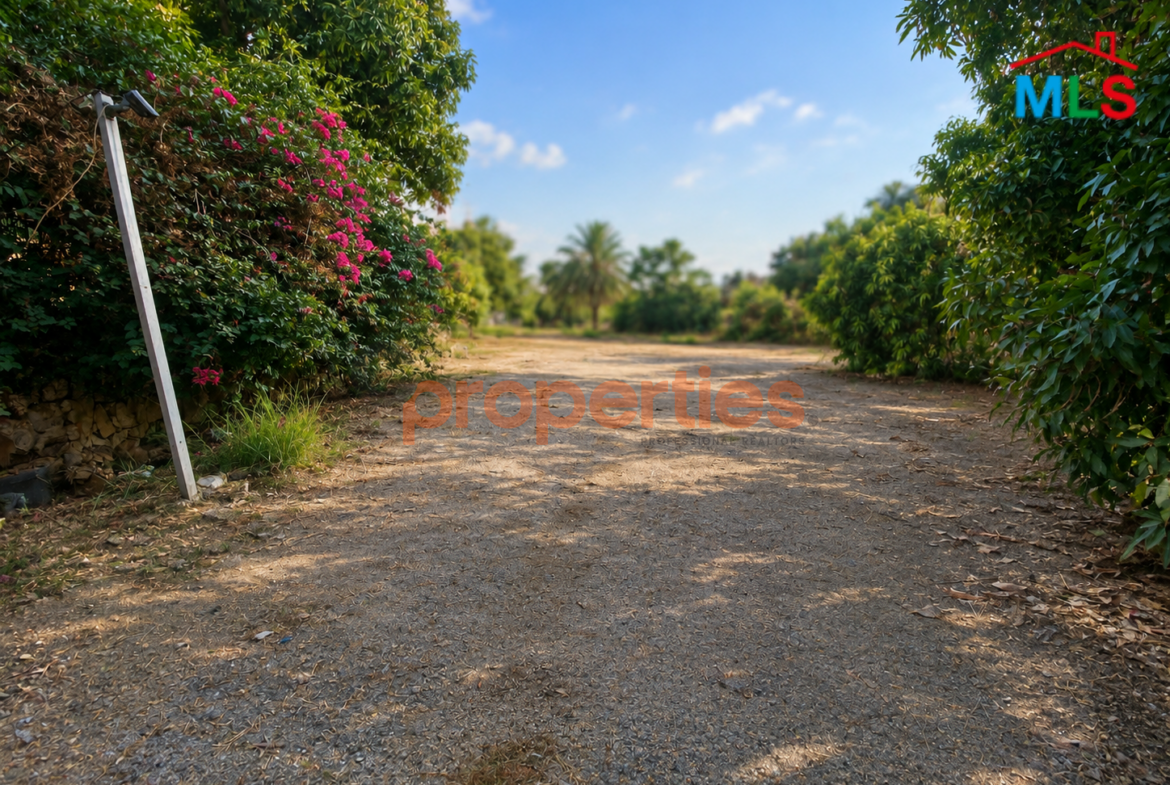 Land For Rent in Zalka - CPFY319 أرض للإيجار في الزلقا