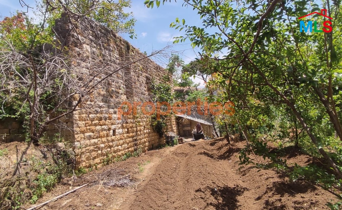 Land for Rent in Chouf/Serjbel - CPSM512