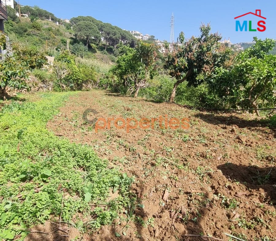 Land For Rent In Kehale - CPBMH18