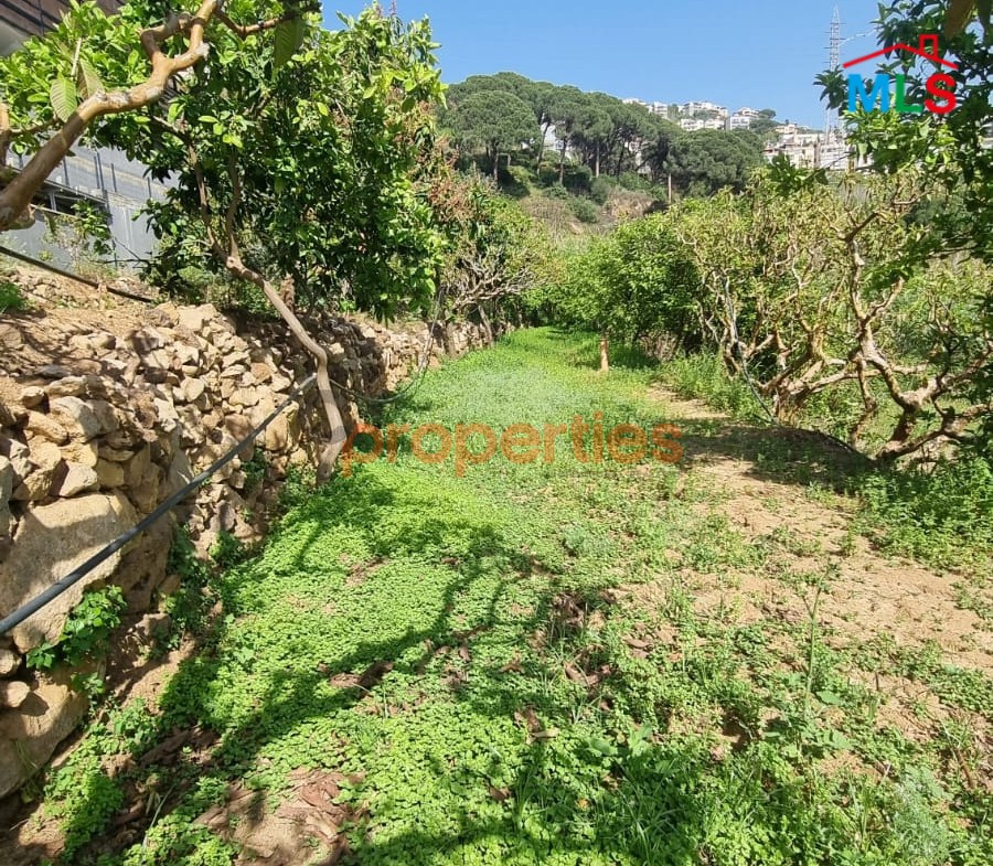 Land For Rent In Kehale - CPBMH18