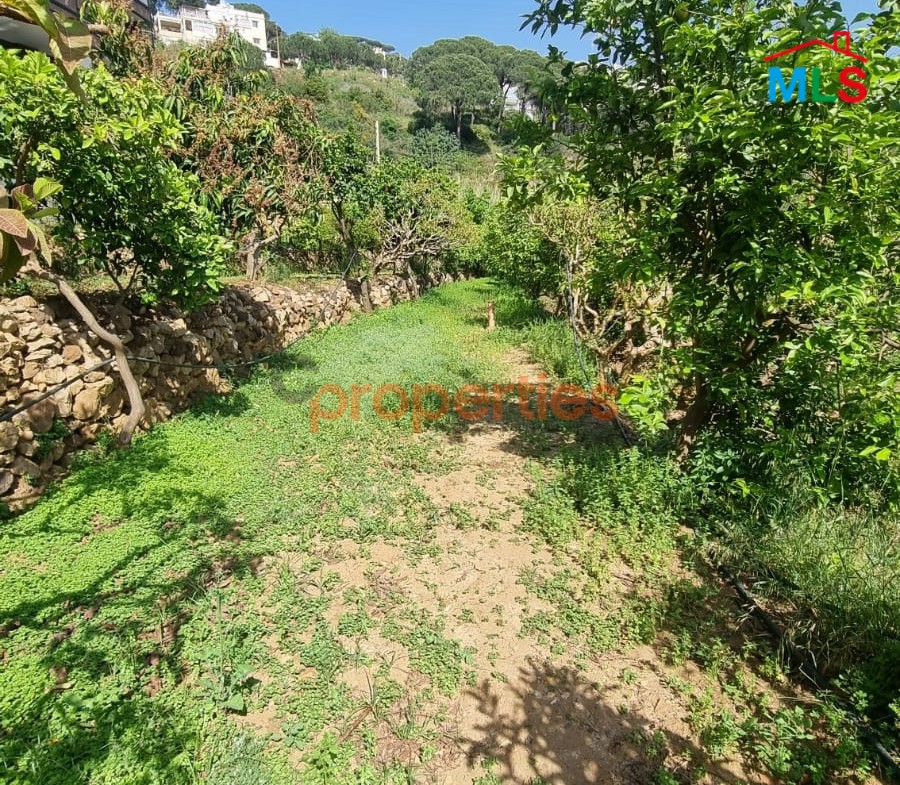 Land For Rent In Kehale - CPBMH18