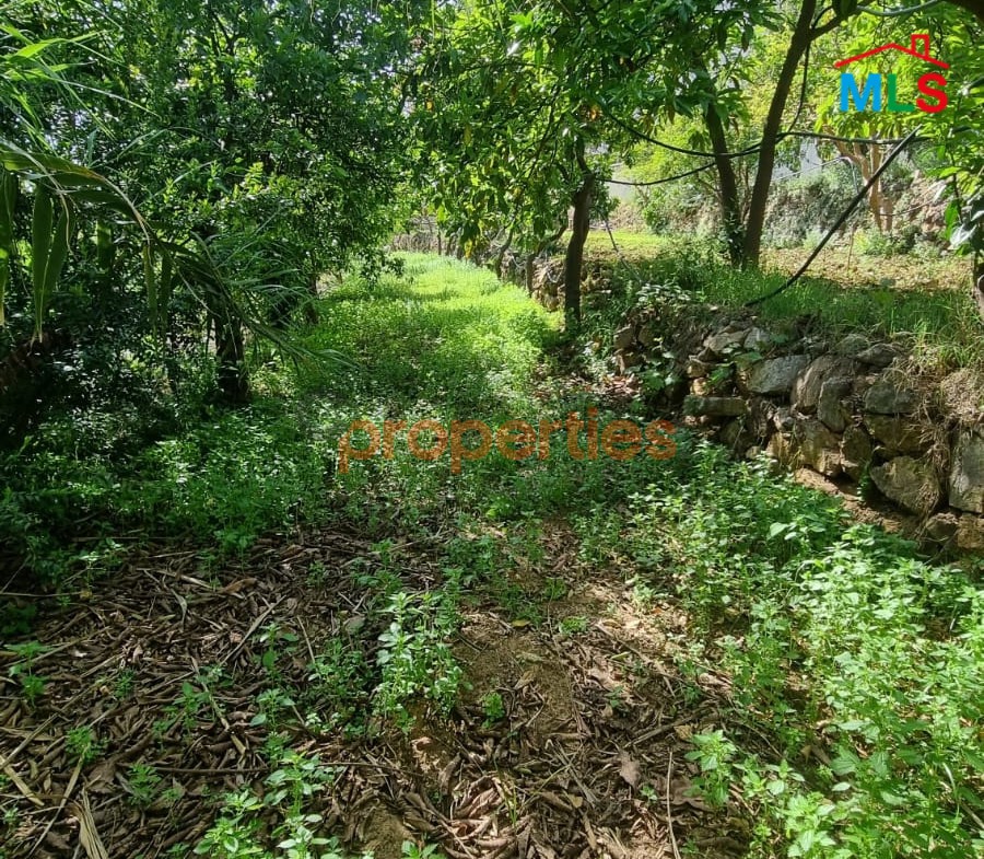 Land For Rent In Kehale - CPBMH18