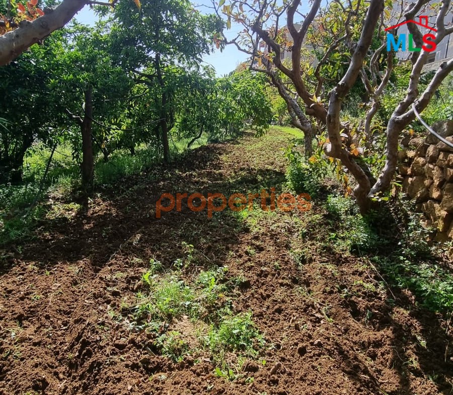 Land For Rent In Kehale - CPBMH18
