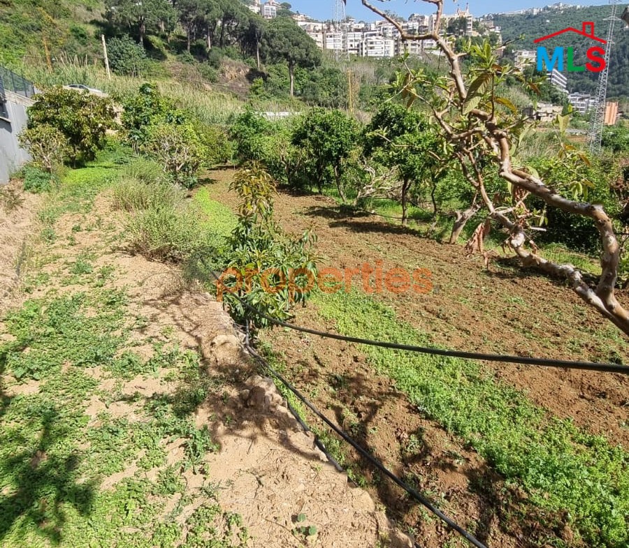 Land For Rent In Kehale - CPBMH18