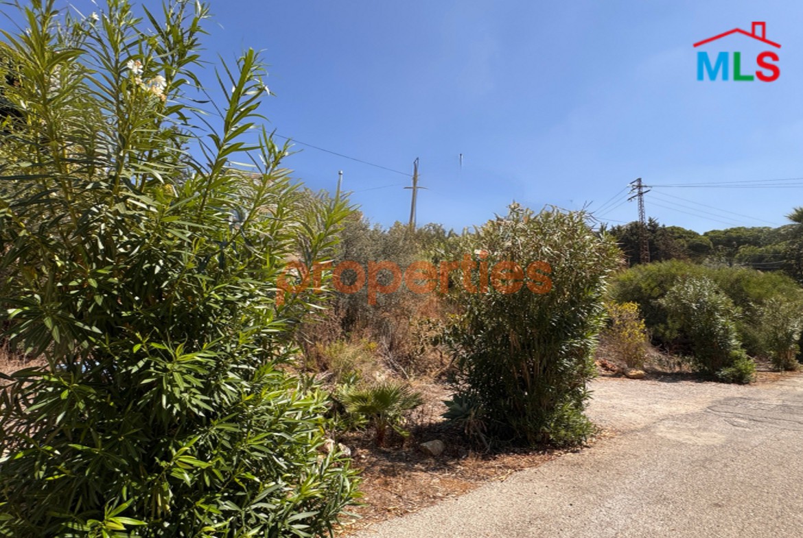 Land For Rent In Dik El Mehdi - CPTA09