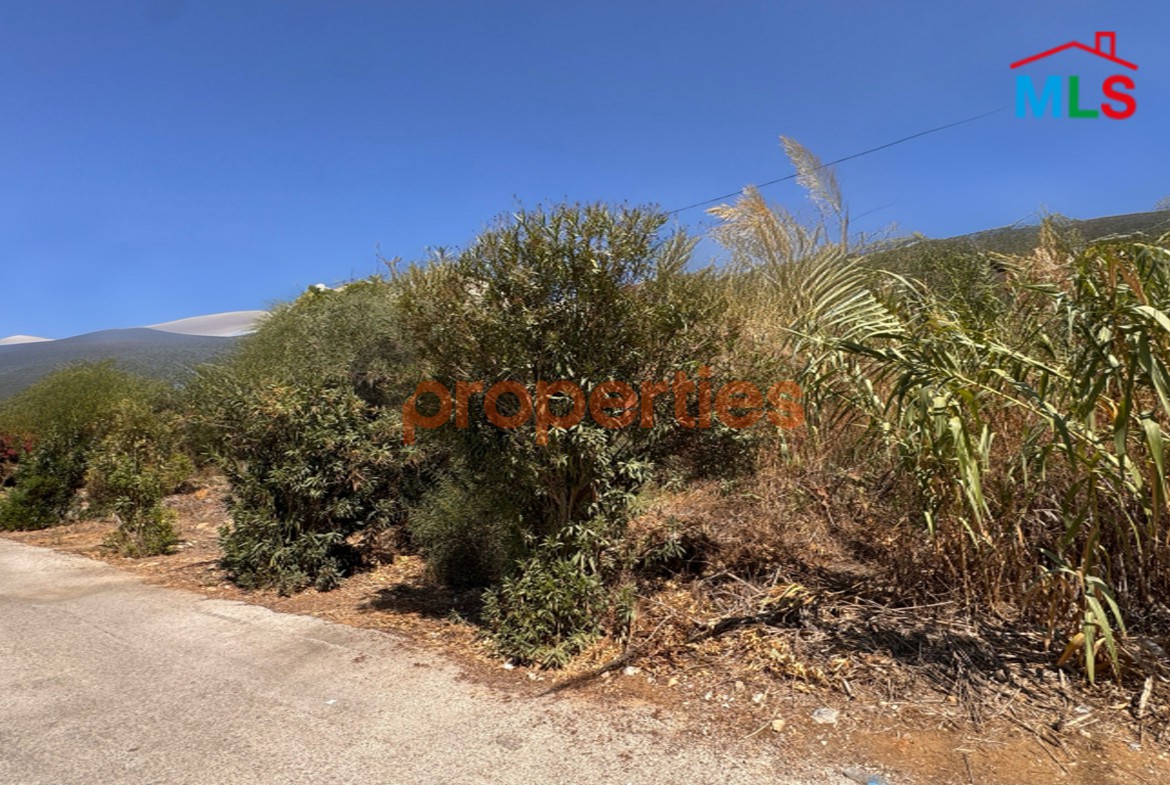 Land For Rent In Dik El Mehdi - CPTA09