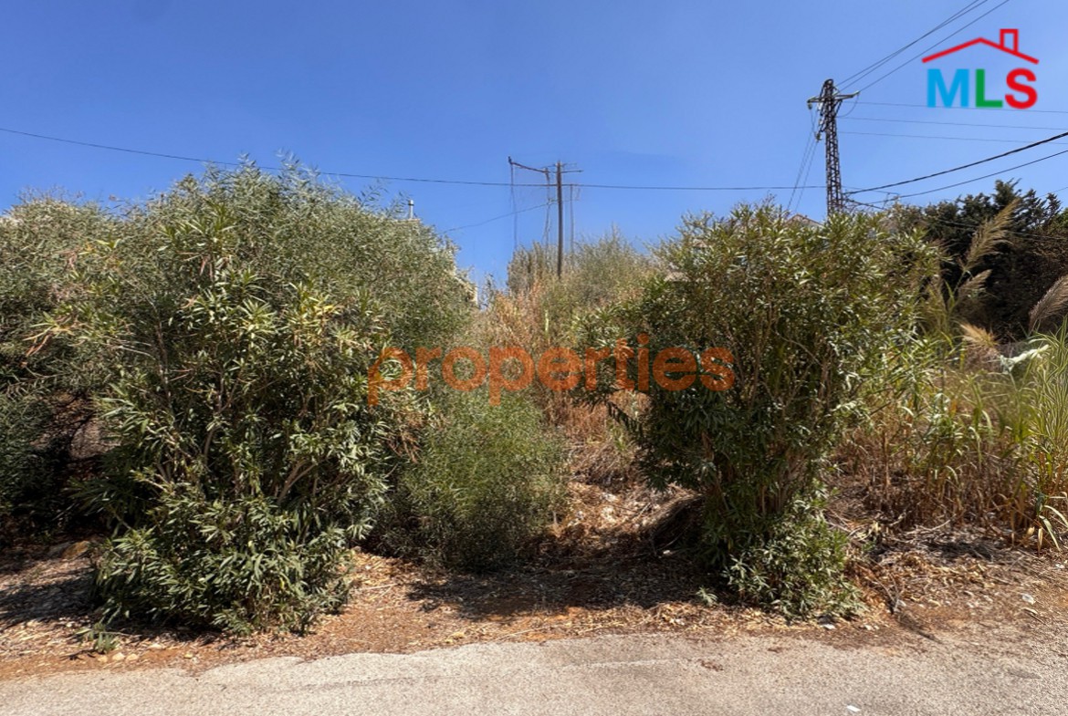Land For Rent In Dik El Mehdi - CPTA09