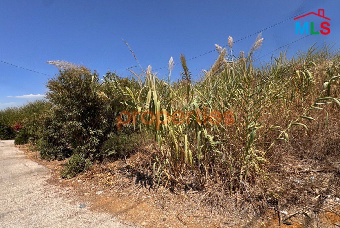 Land For Rent In Dik El Mehdi - CPTA09
