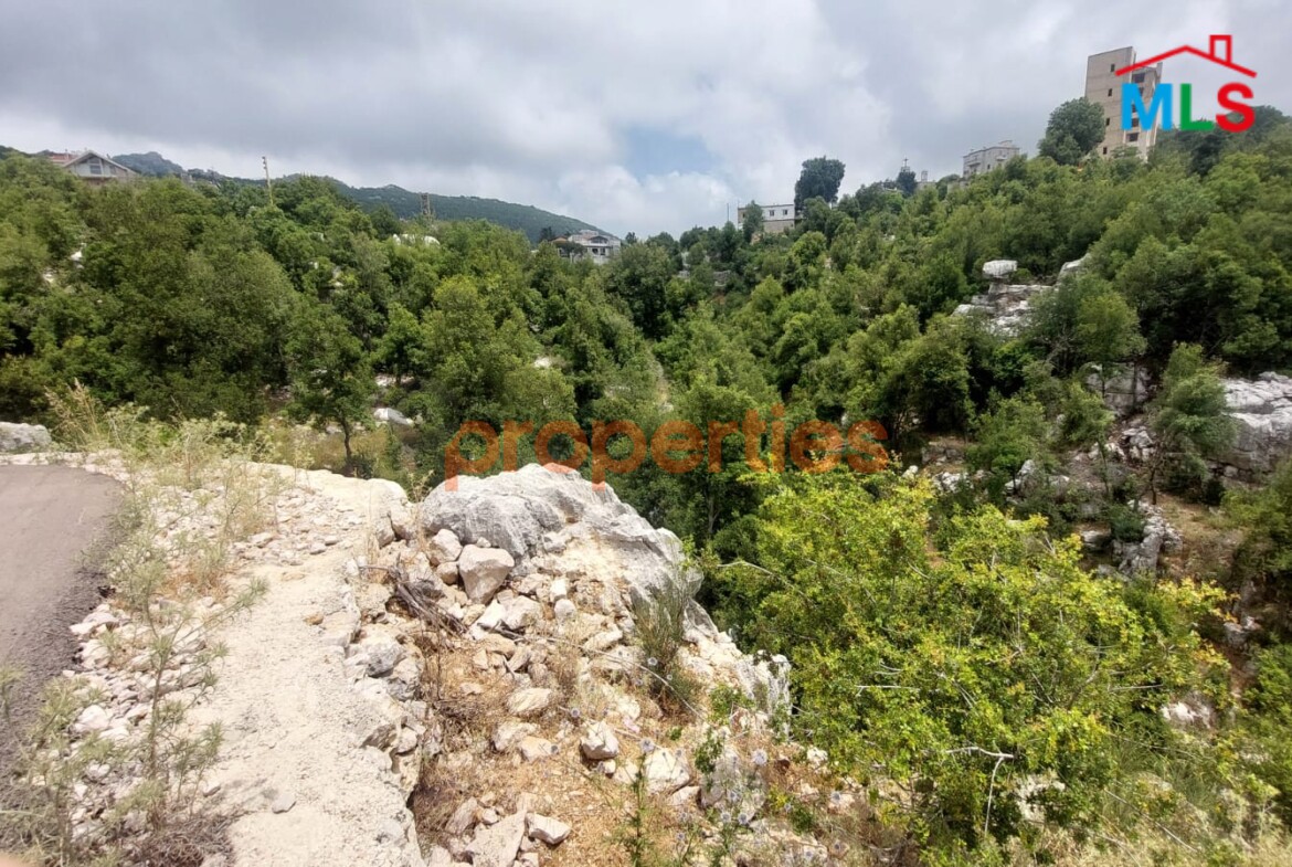 Land for Sale in Achkout – ارض للبيع في عشقوت CPKHS13