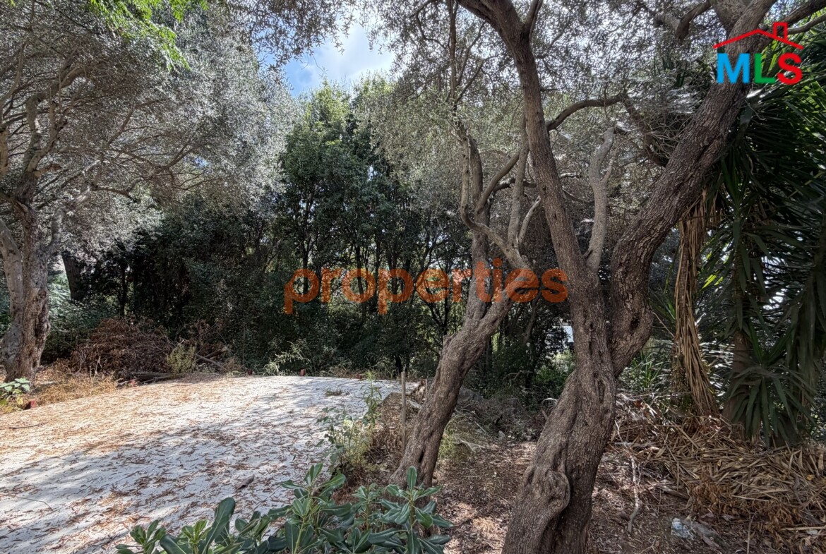 Land For Sale In Ain Saadeh- CPJW33