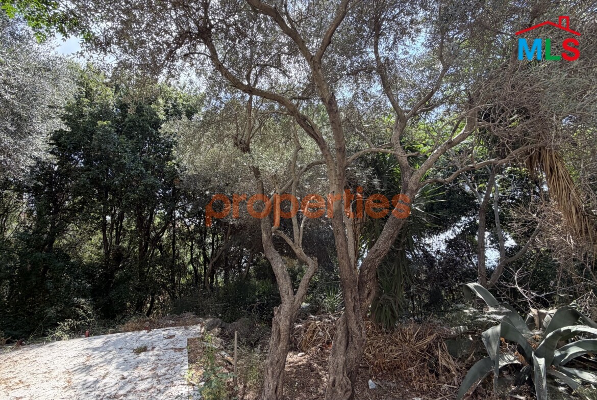 Land For Sale In Ain Saadeh- CPJW33
