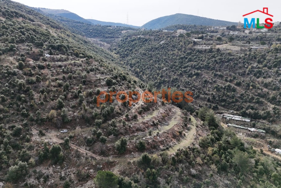 Land For Sale in Hakel – CPKCC91