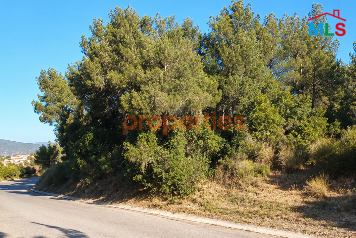Land For Sale In Baabdat – CPBJW13