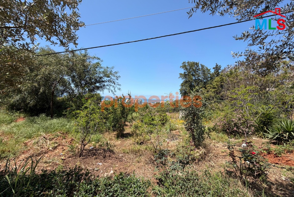 Land For Sale In Rabieh Naccache – أرض للبيع في الرابية النقاش – CPTA117