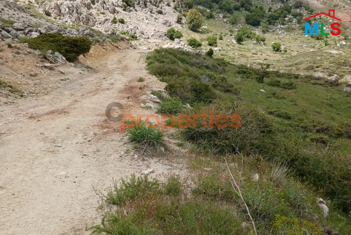 Land for Sale in Ehmej – CPKCC81