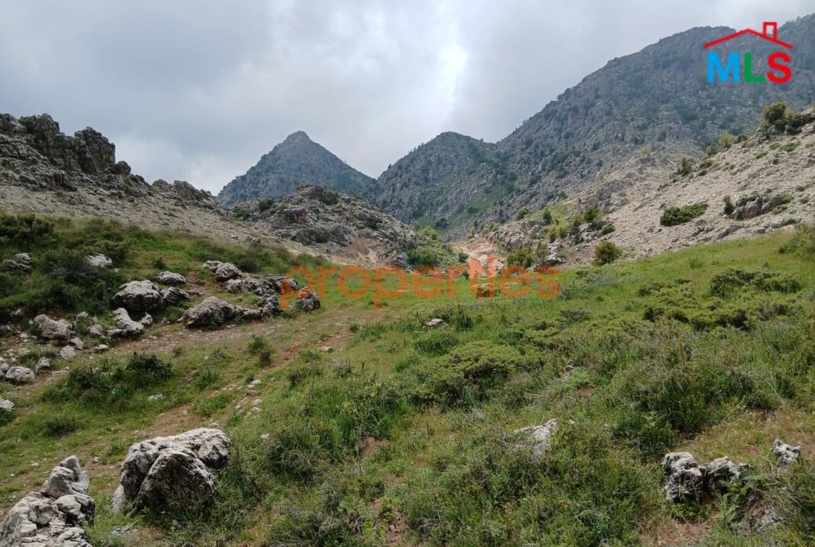 Land for Sale in Ehmej – CPKCC82