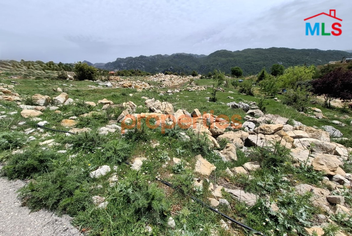 Land For Sale in Ehmej – CPKCC77