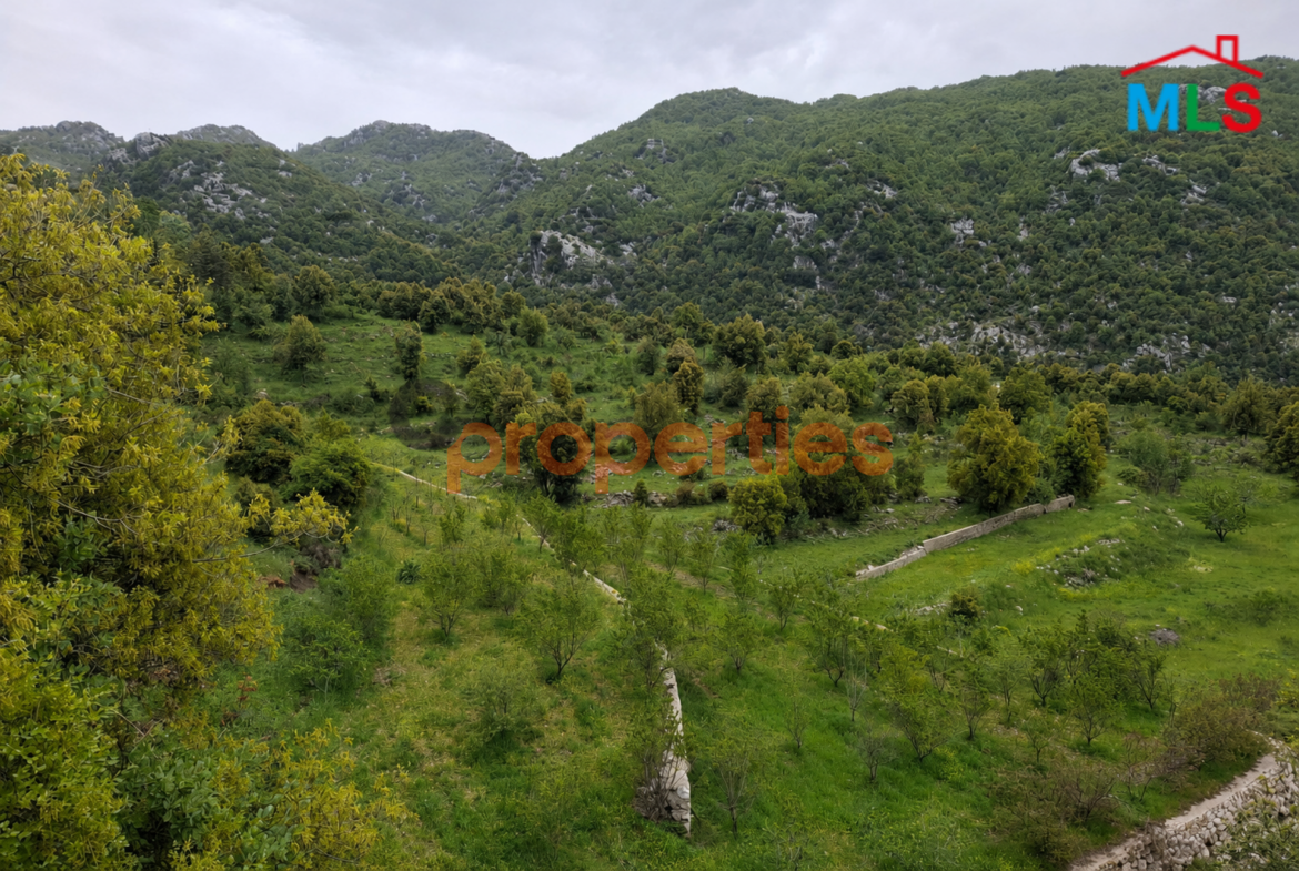 Land for sale in ehmej – CPKCC76