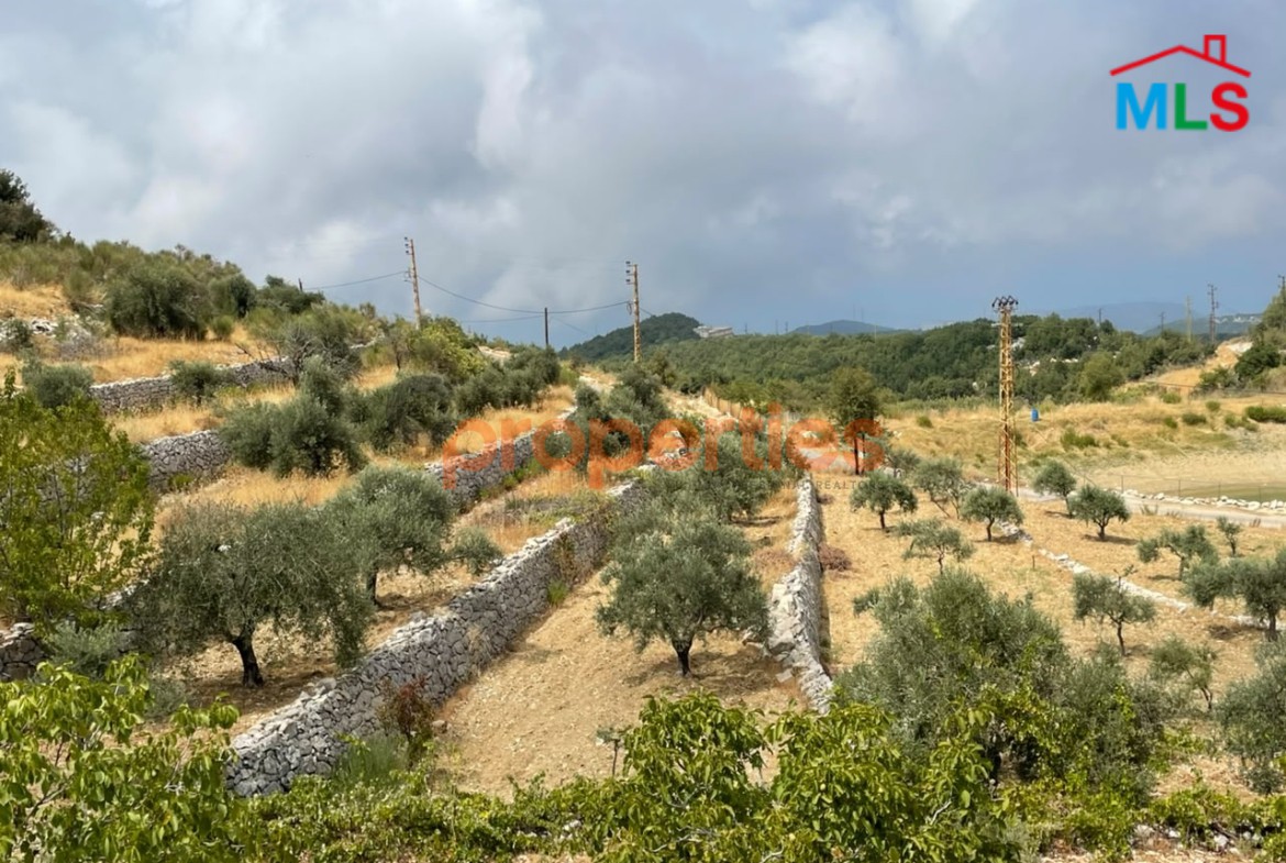 Land For Sale In Mechmech-CPJGK118