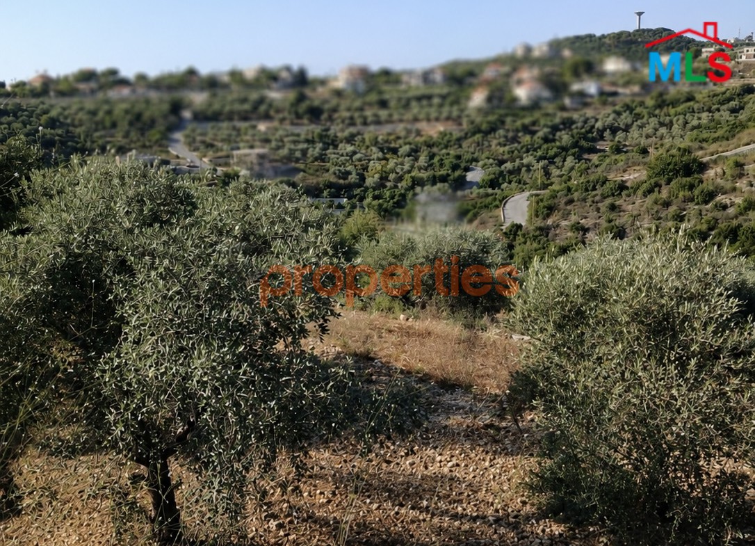 Land For Sale In Edde Batroun – CPJGN63