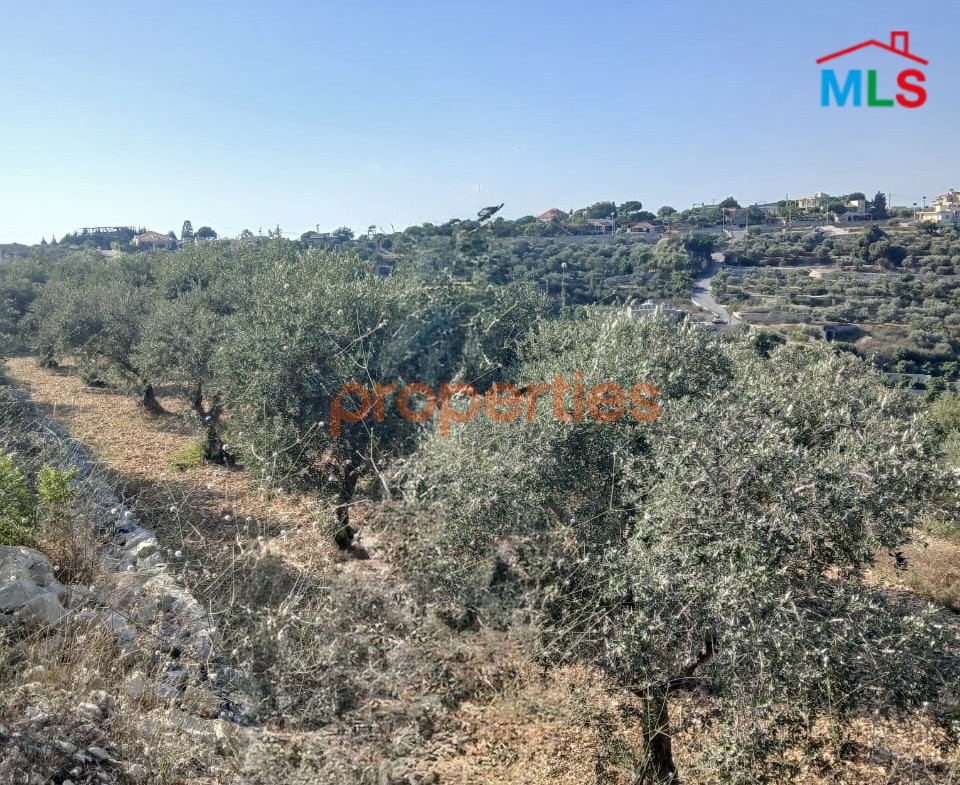 Land For Sale In Edde Batroun – CPJGN63