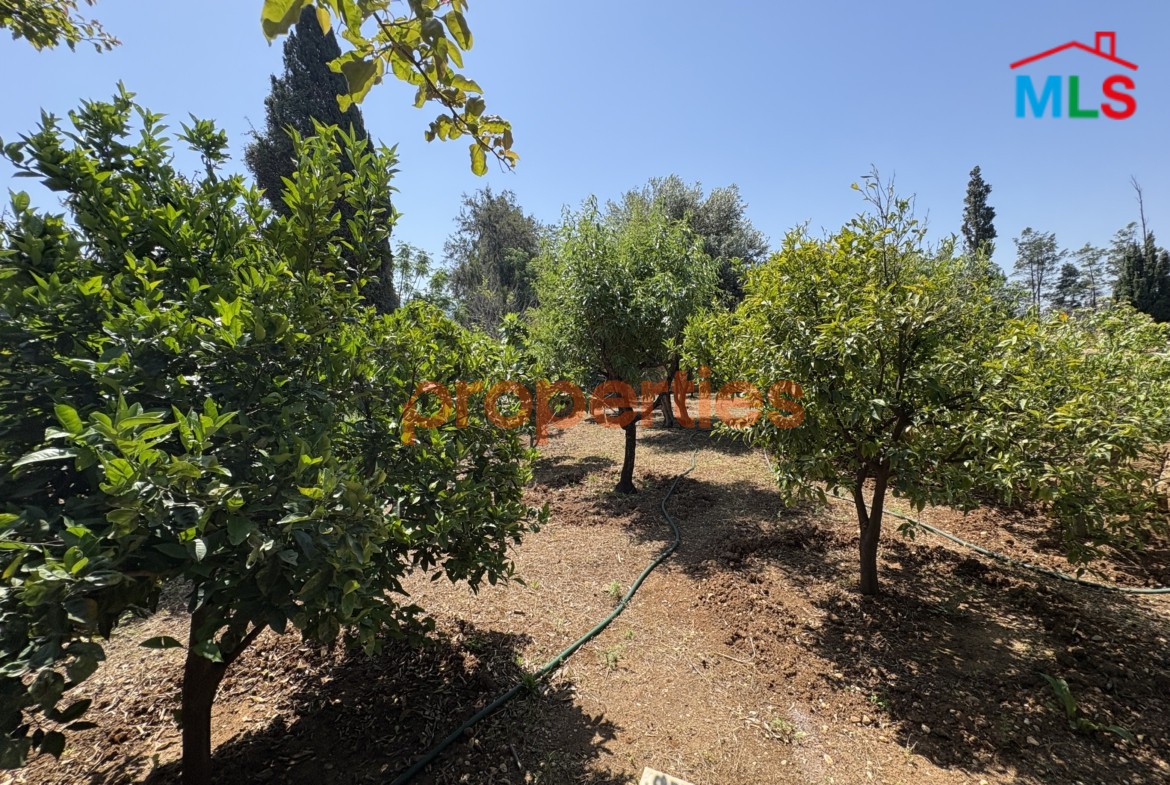 Villa For Sale In Batroun – CPJGN51