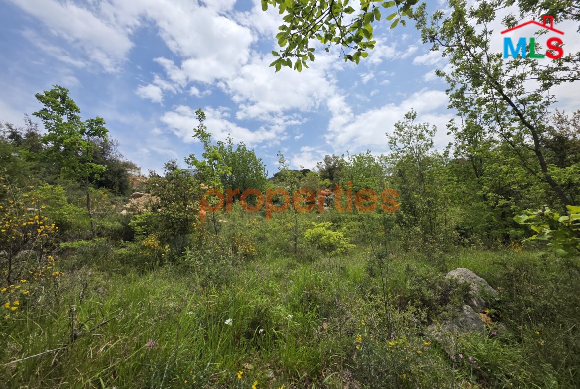 Astonishing Land for Sale in Bikfaya-Metn – CPSK75