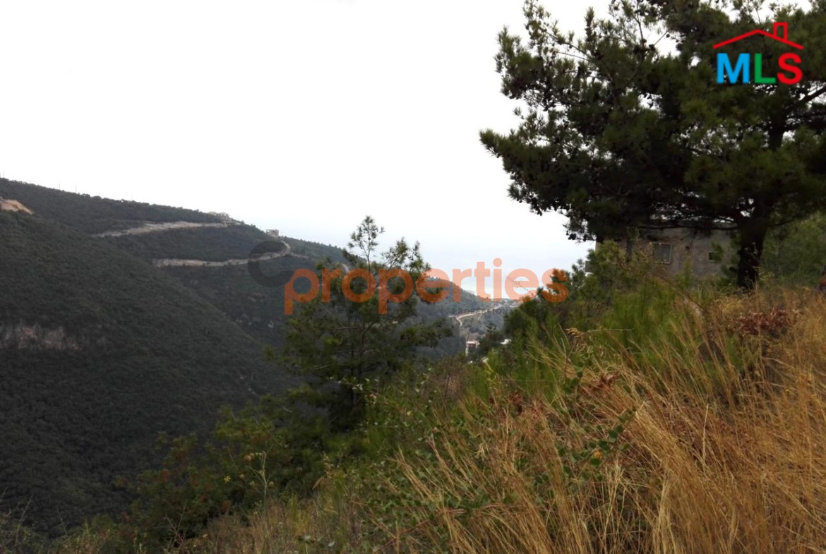 Land for sale in Blat – Jbeil – CPJMH41