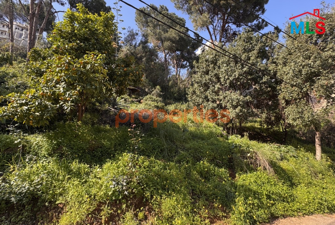 Land For Sale In Beit El Chaar El Hadira – CPTA79