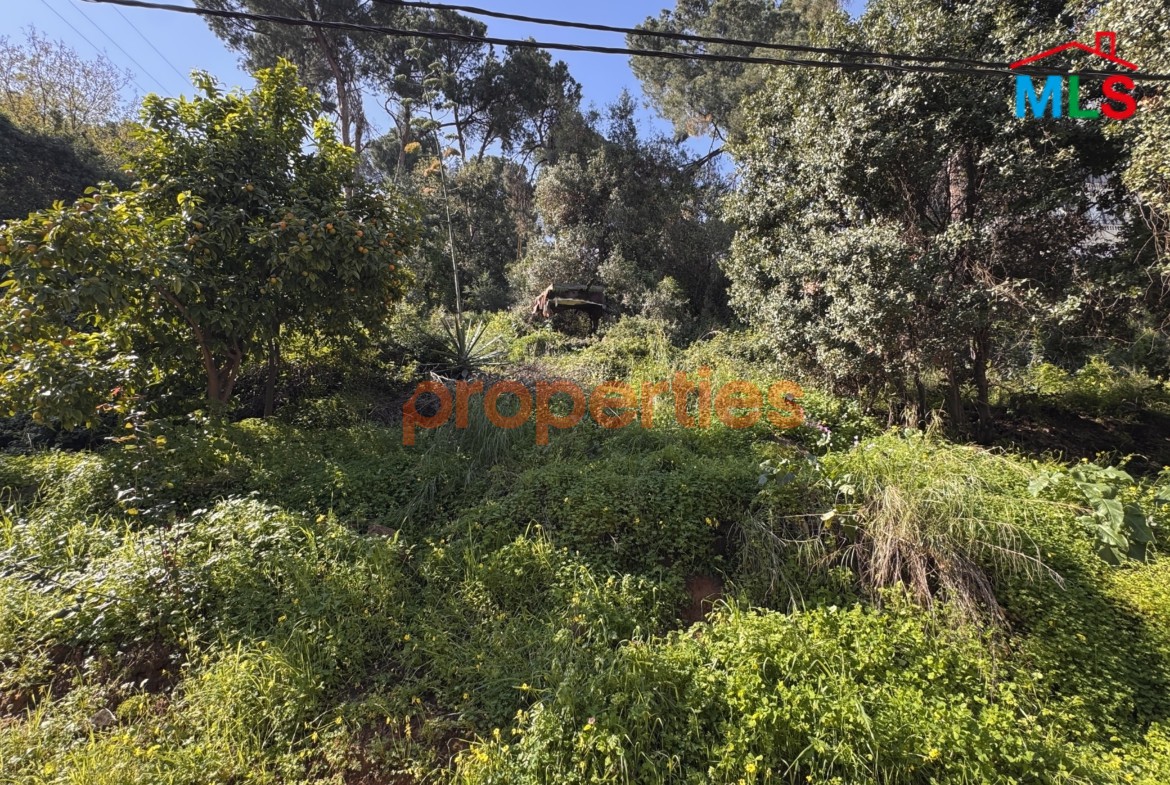 Land For Sale In Beit El Chaar El Hadira – CPTA79