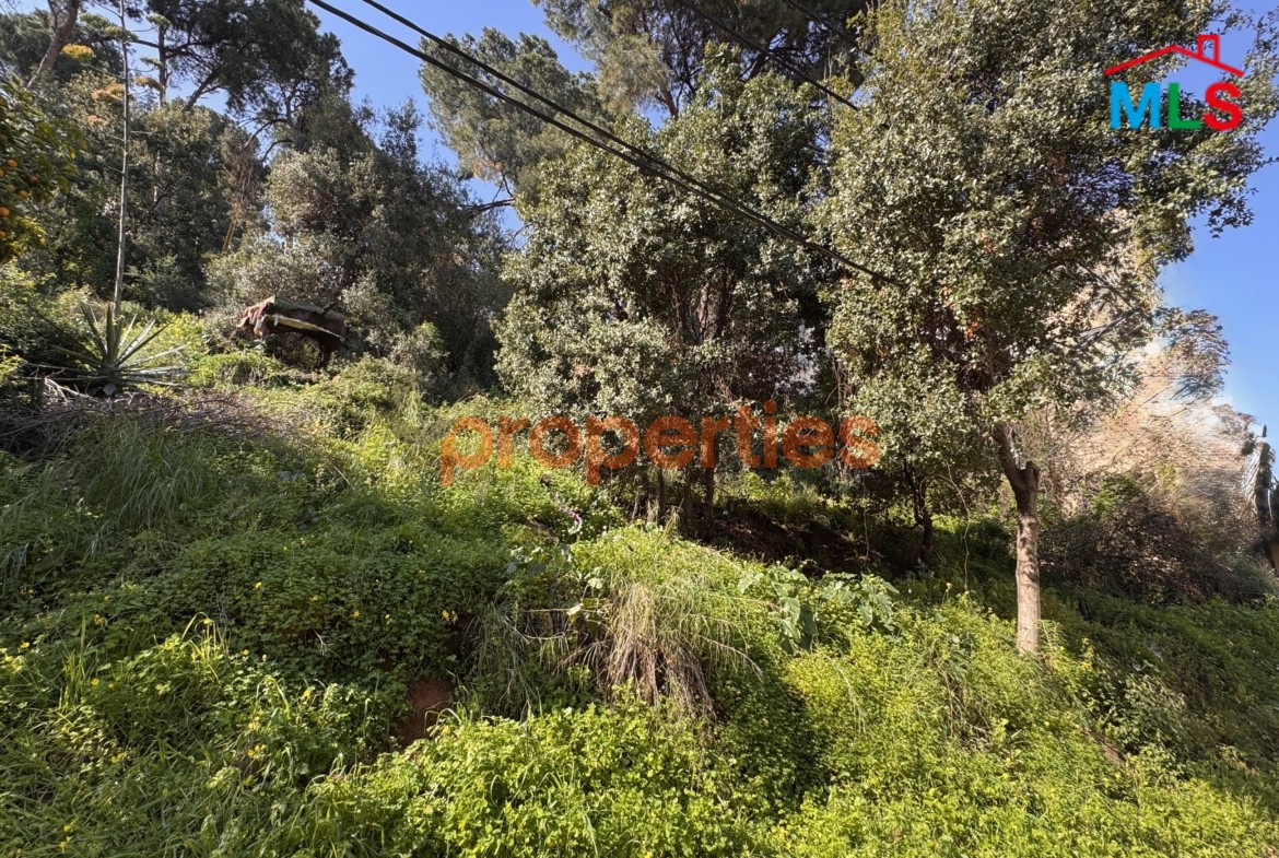 Land For Sale In Beit El Chaar El Hadira – CPTA79