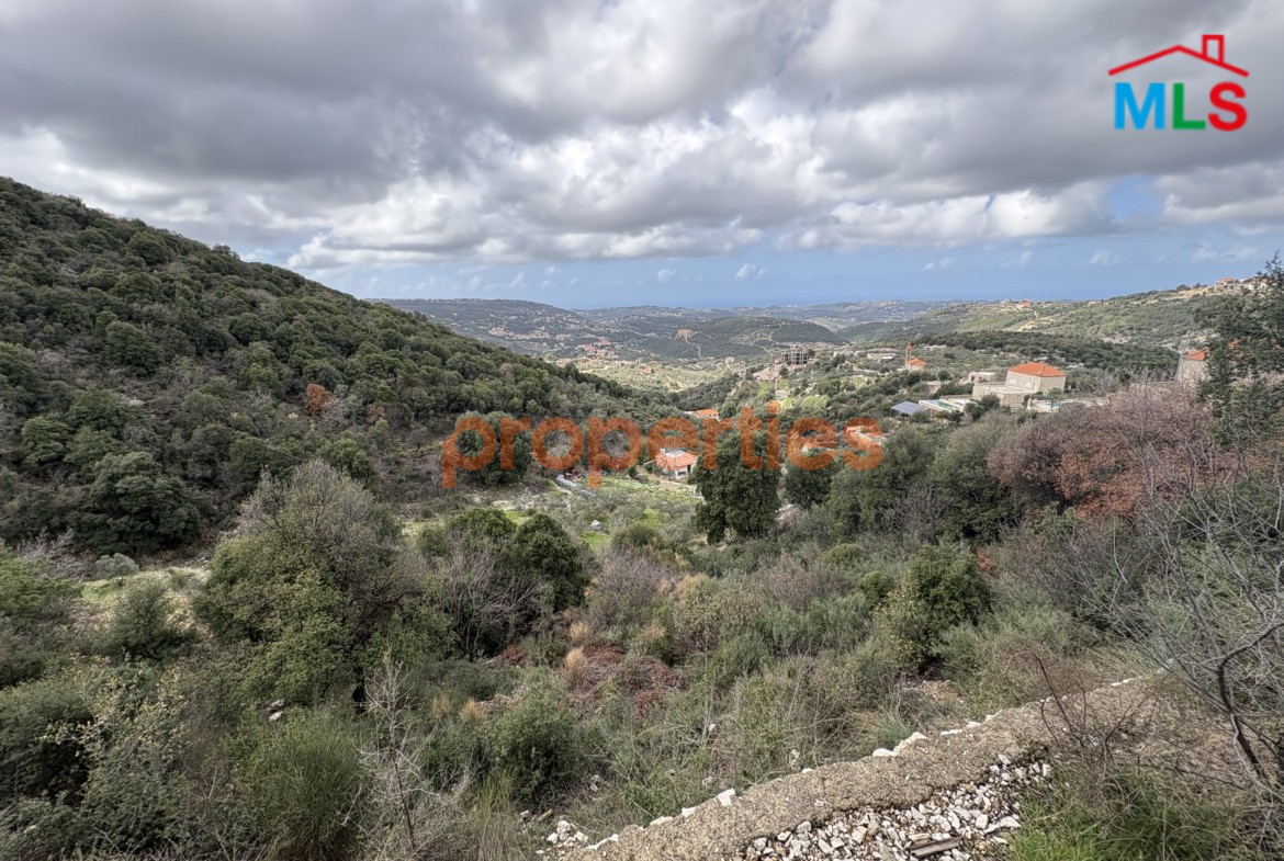 Land For Sale In Batroun Chabtine -CPJGN12