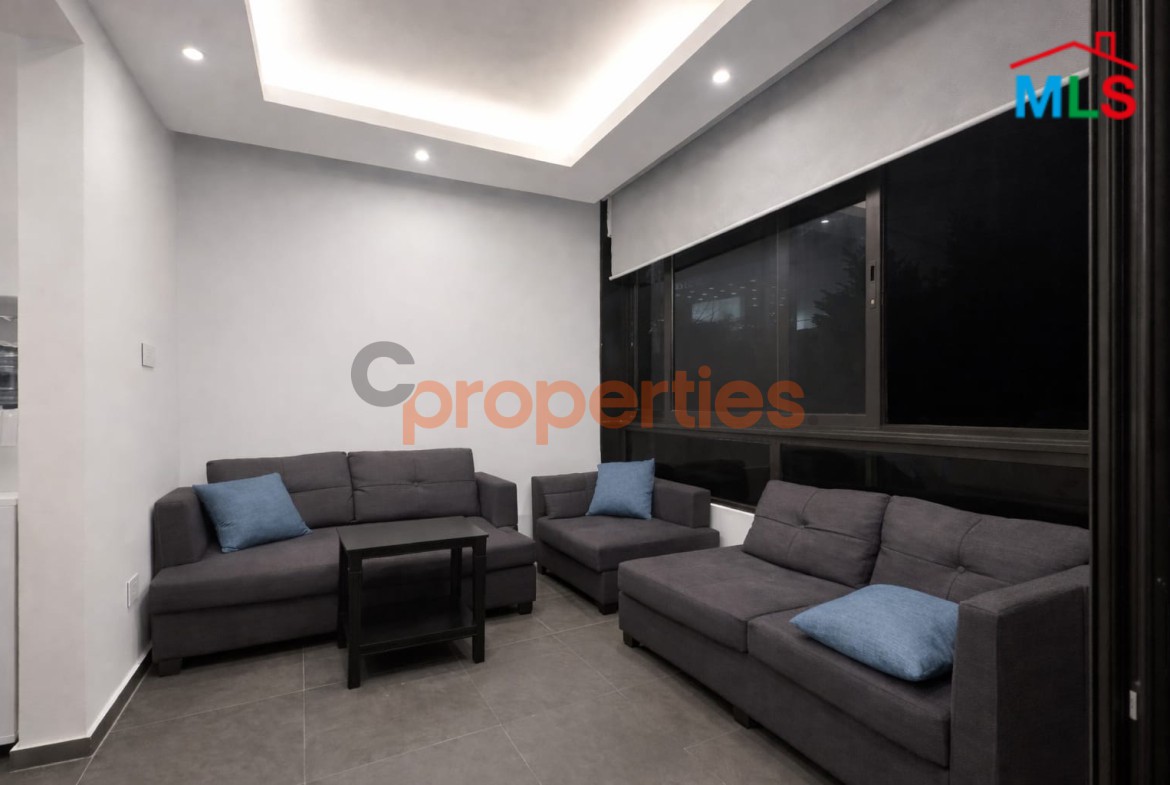 Decorated Furnished Apartment For Sale in Bseba – CPDD45