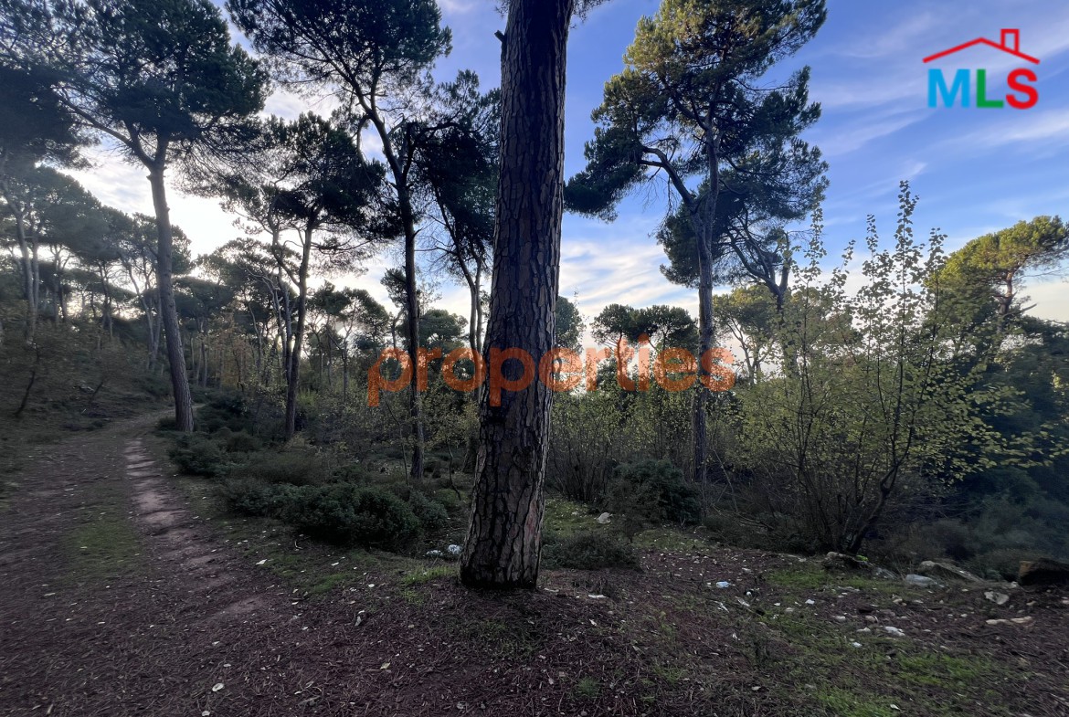 Exceptional Land for Sale in Bikfaya & Bhorsaf’s | Sakiyet El Misk | CPCC95