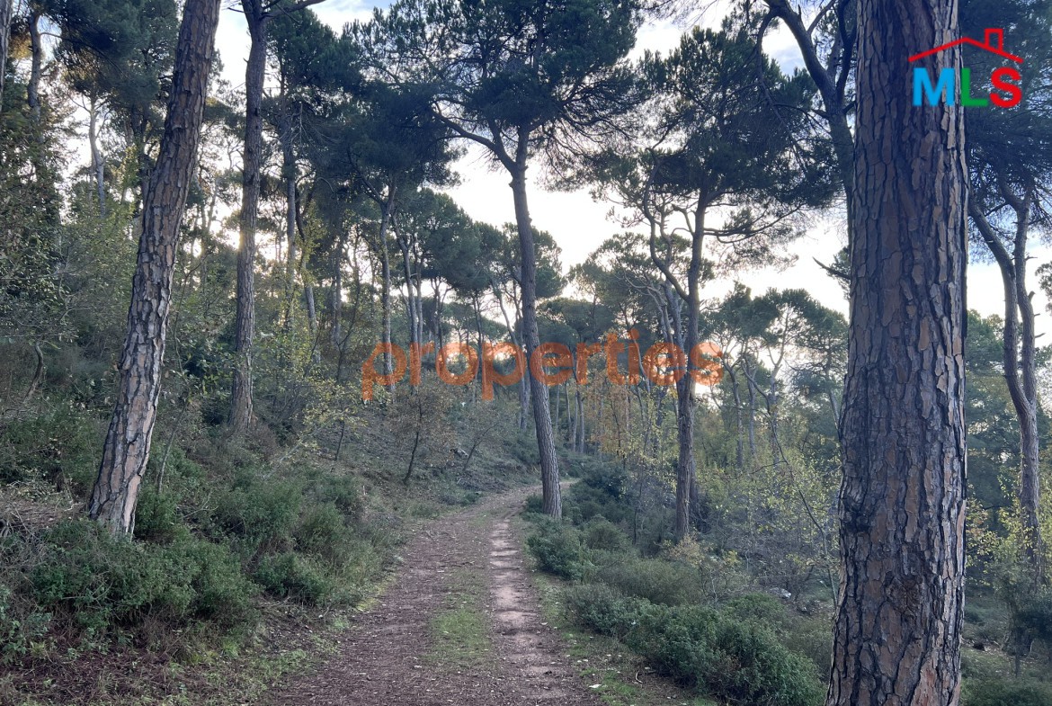 Exceptional Land for Sale in Bikfaya & Bhorsaf’s | Sakiyet El Misk | CPCC95