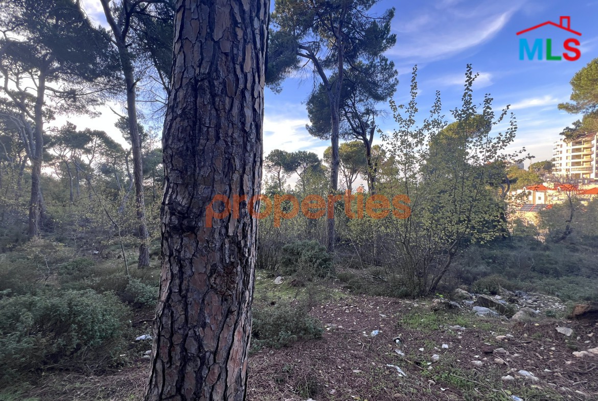 Exceptional Land for Sale in Bikfaya & Bhorsaf’s | Sakiyet El Misk | CPCC95