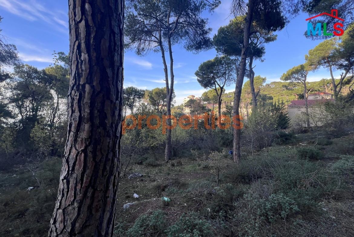 Exceptional Land for Sale in Bikfaya & Bhorsaf’s | Sakiyet El Misk | CPCC95