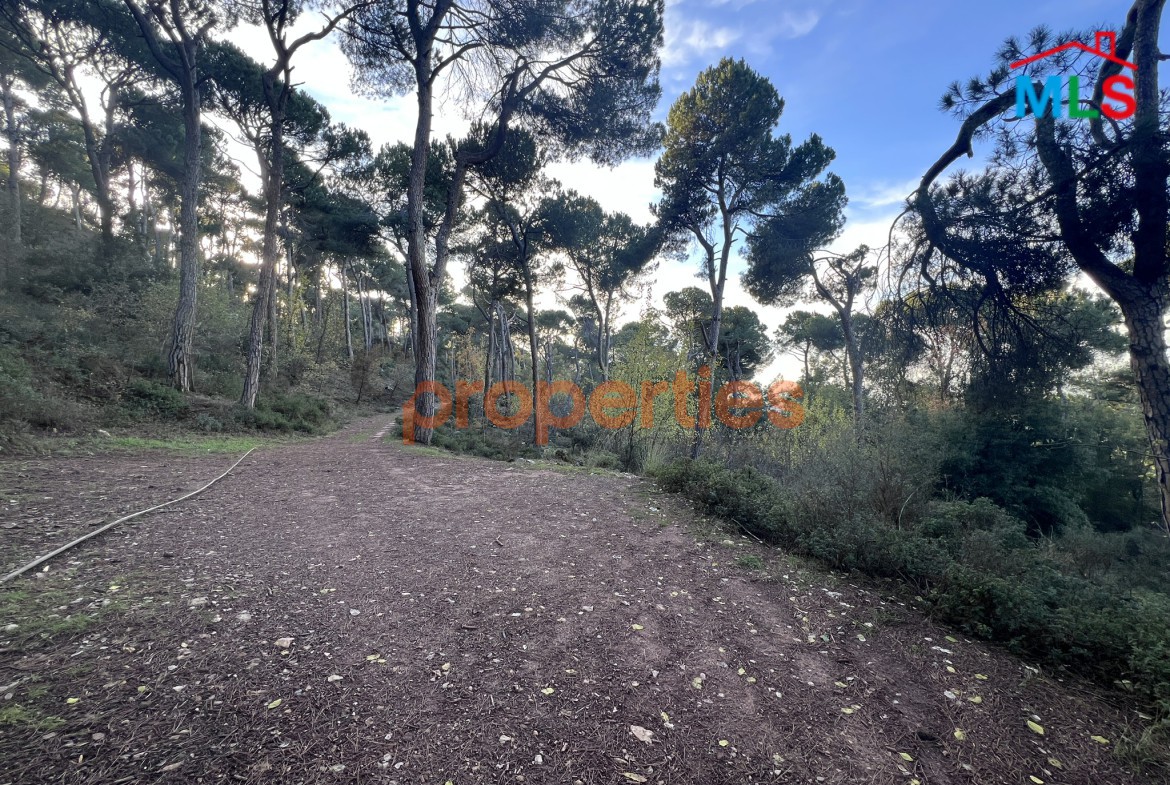 Exceptional Land for Sale in Bikfaya & Bhorsaf’s | Sakiyet El Misk | CPCC95