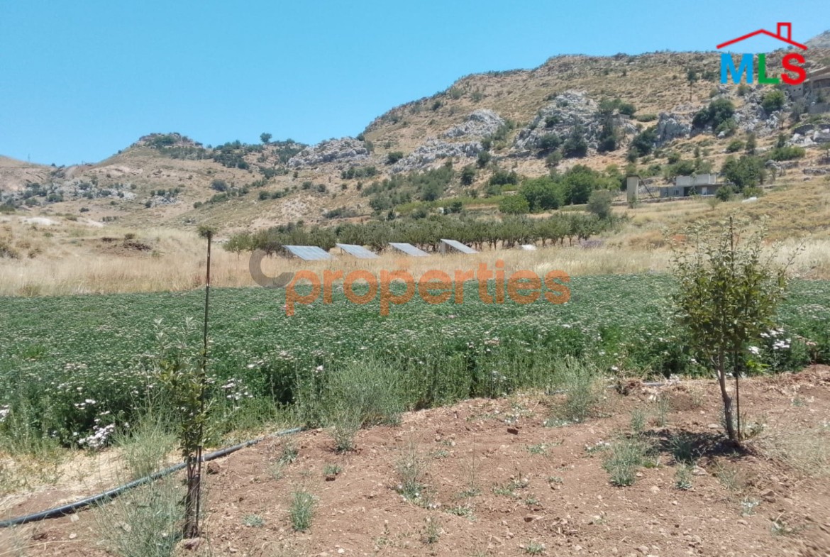 Land For Sale In Ehmej – CPJGK31