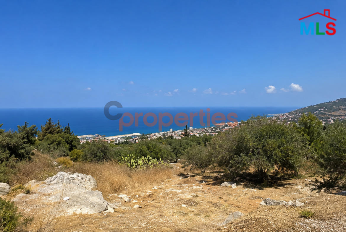 Land For Sale In Halat -CPJGK33