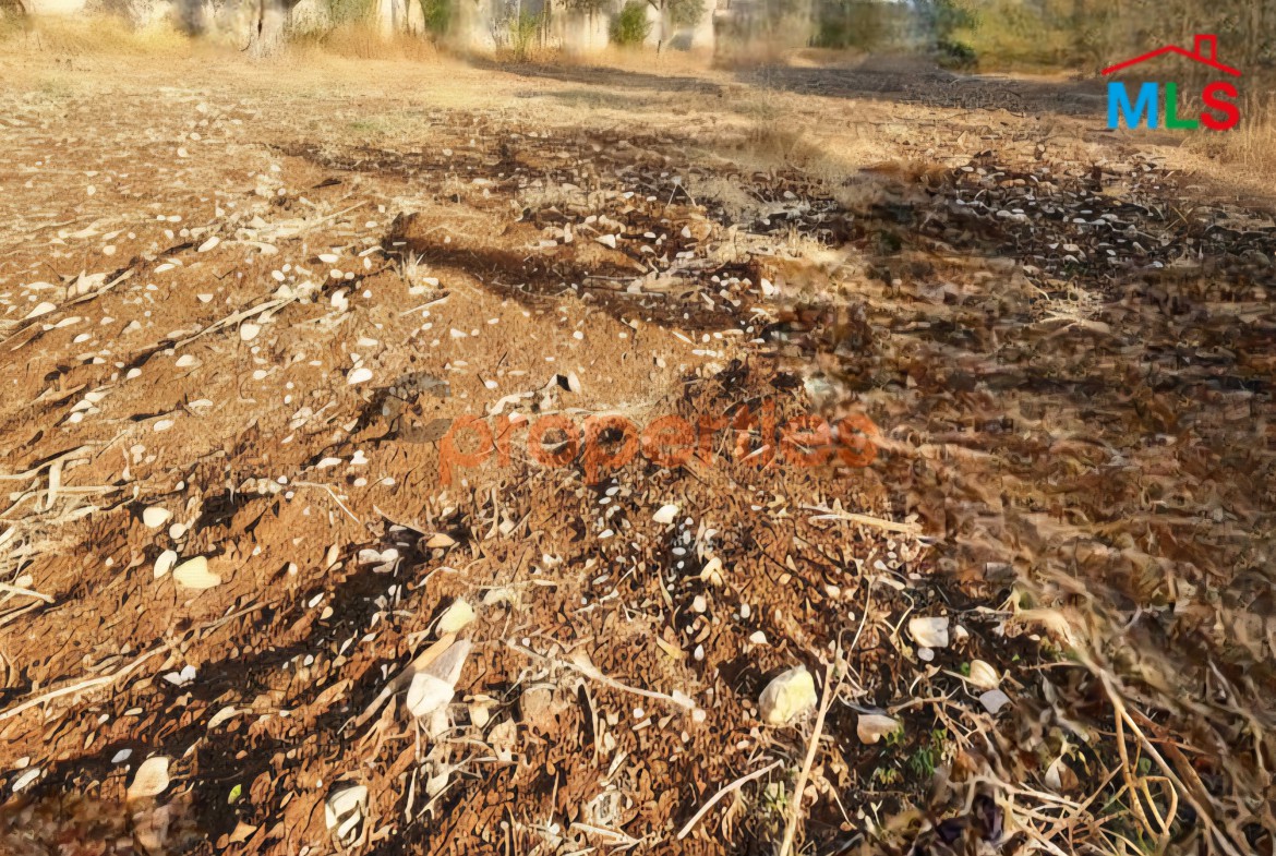 Land for sale in Amchit – Jbeil – CPJMH28