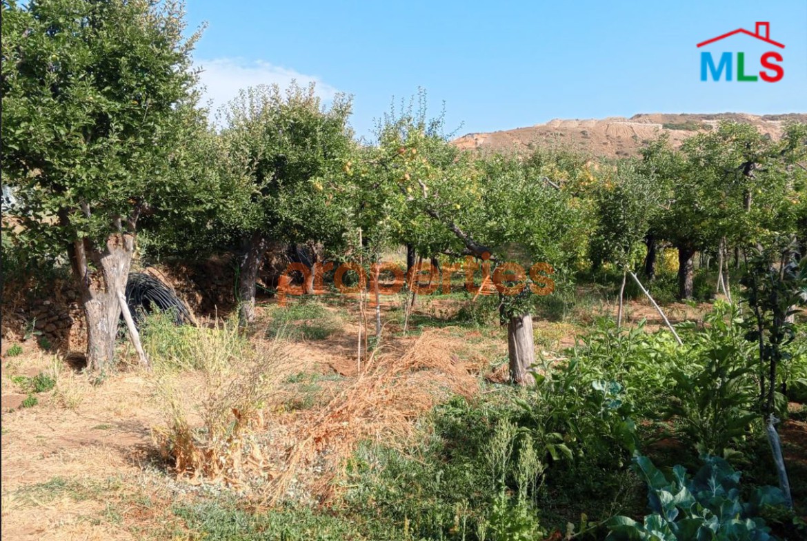 Land for Sale in Zaarour – CPSM415
