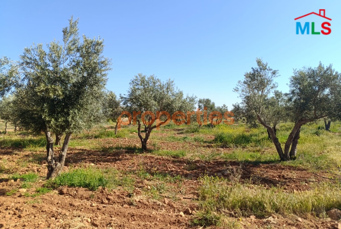 Land For Sale In KAA – CPBWW62