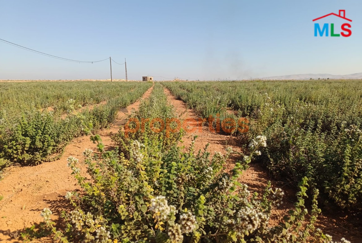 Land For Sale In KAA – CPBWW62