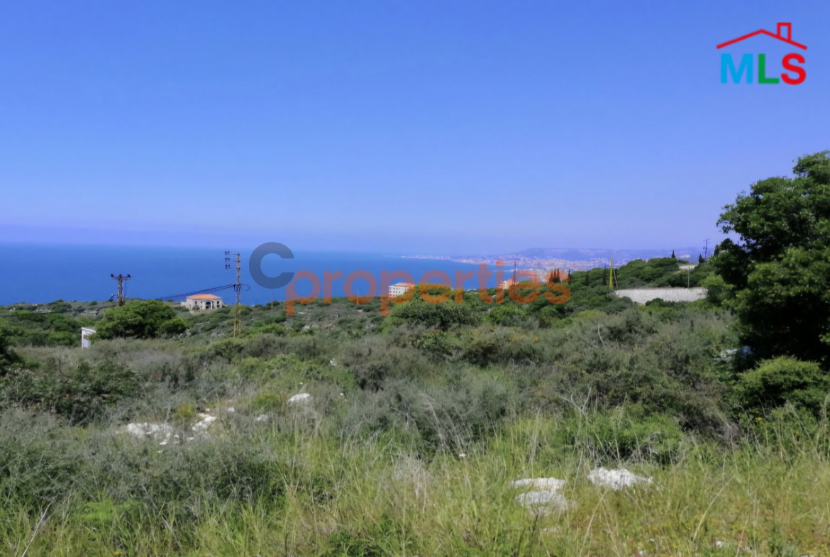 Land for Sale in Berbara – CPKLK70