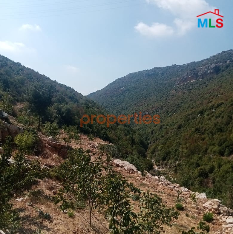 Land for sale in Haqel – Jbeil – CPJMH21