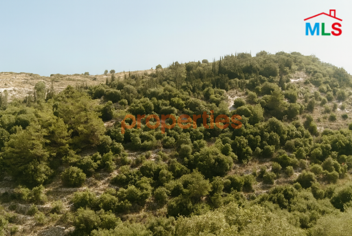 Land For Sale In Safra – CPKCC42
