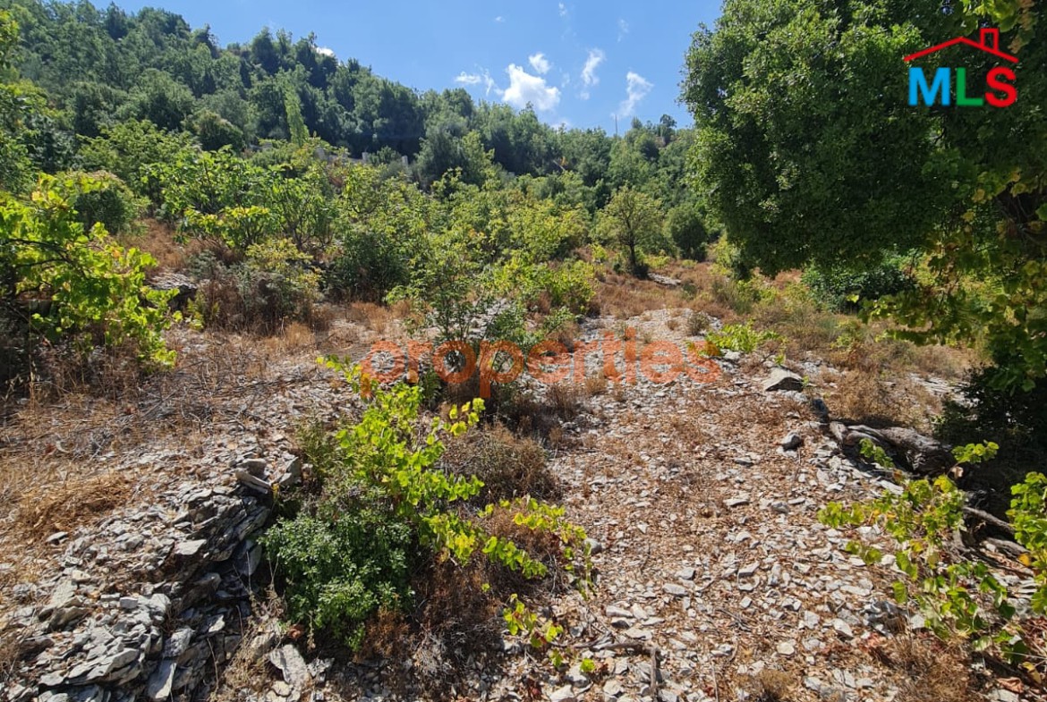 Land For Sale In Lehfed – Jbeil – CPJMH09